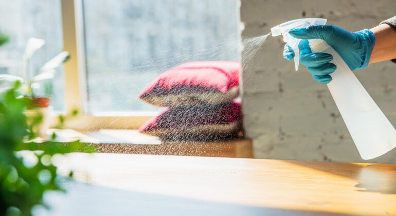 Ev Temizliğinde Profesyonel Hizmetin Önemi