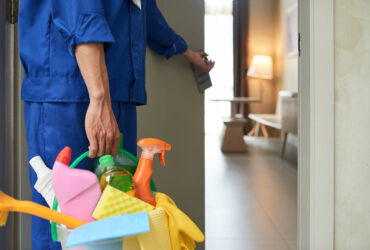 sakarya alternatif temizlik